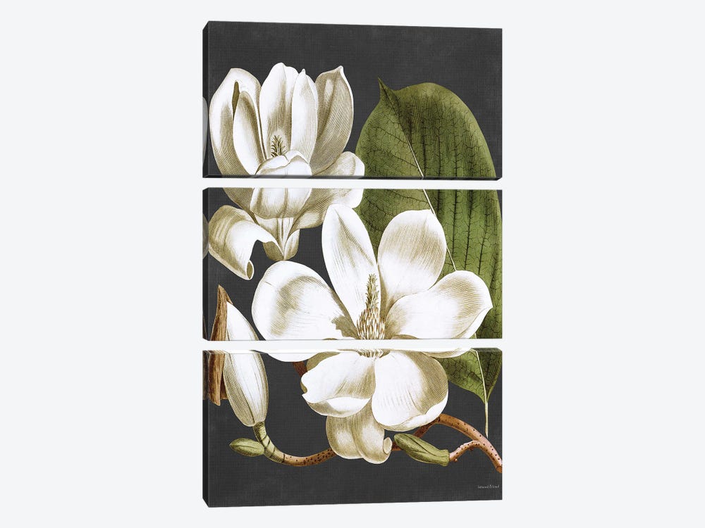 Magnolia by lettered & lined 3-piece Canvas Art