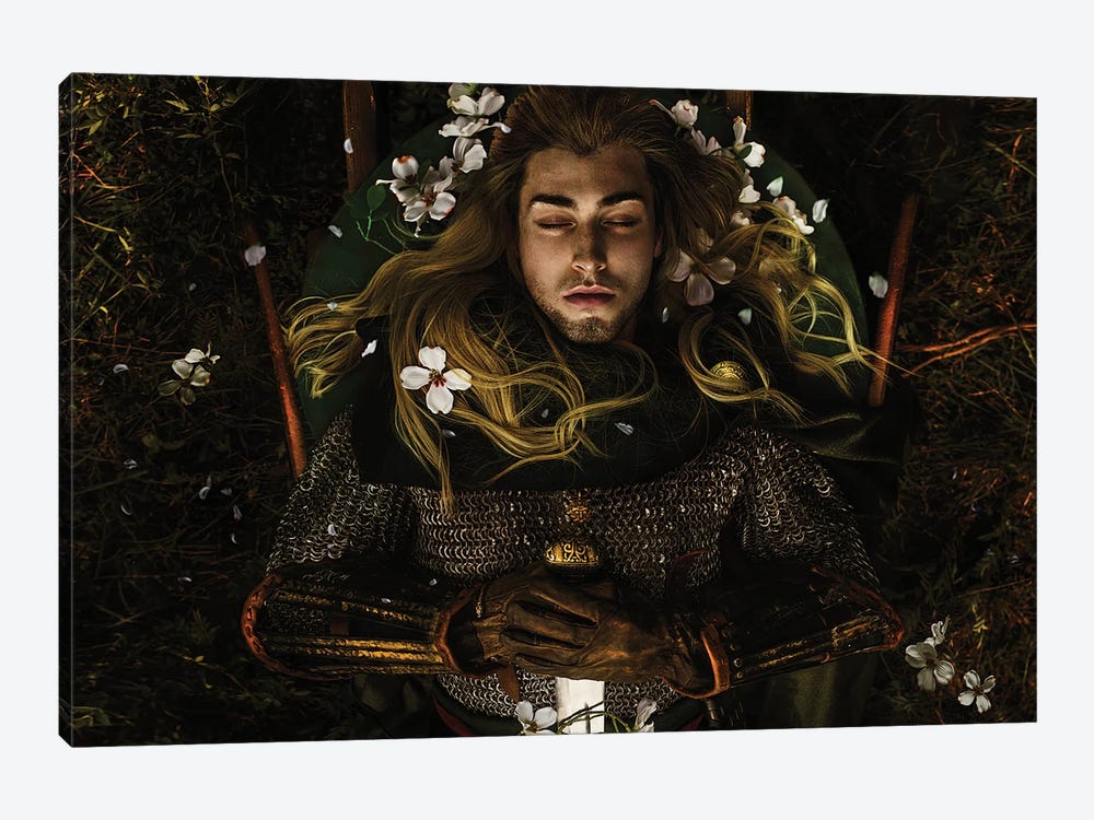 The Fallen Prince by Lillian Liu 1-piece Canvas Artwork