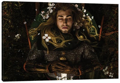The Fallen Prince Canvas Art Print - Hyperreal Photography