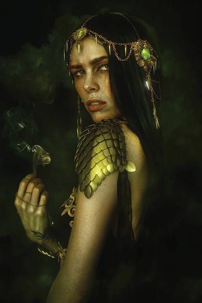 The Mystic by Lillian Liu canvas print