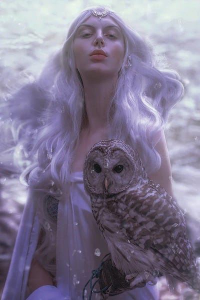 The Seer by Lillian Liu canvas print