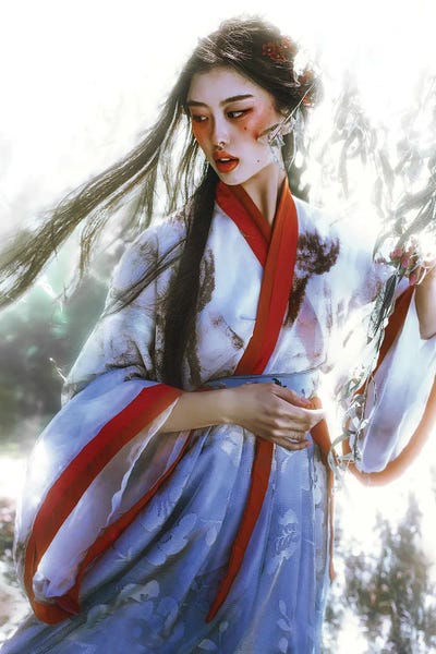 The Dreamer II by Lillian Liu canvas print