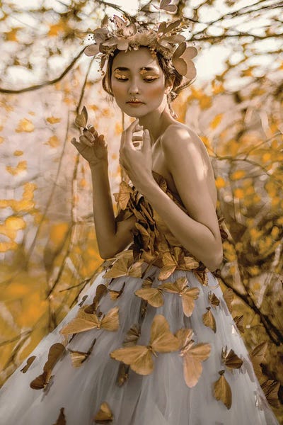 Butterfly by Lillian Liu canvas print