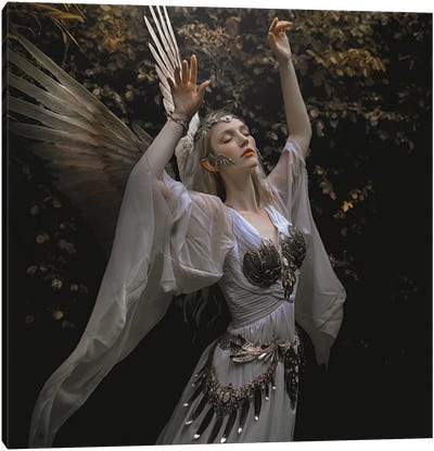 The Angel Canvas Art Print - Lillian Liu