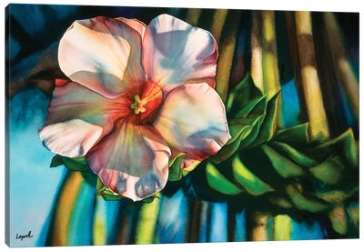 Hawaiiana Canvas Art Print - Lisa Lopuck