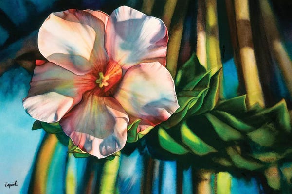 Hawaii: Hawaiiana by Lisa Lopuck