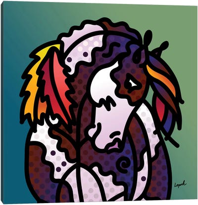 Indian Pony Canvas Art Print - Lisa Lopuck