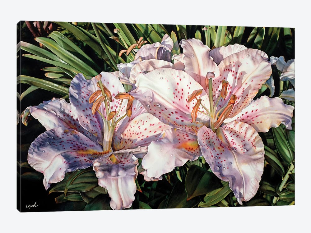 Lilies Lanai by Lisa Lopuck 1-piece Canvas Art Print