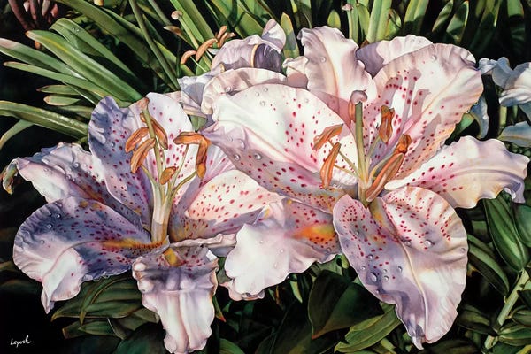 Lilies: Lilies Lanai by Lisa Lopuck