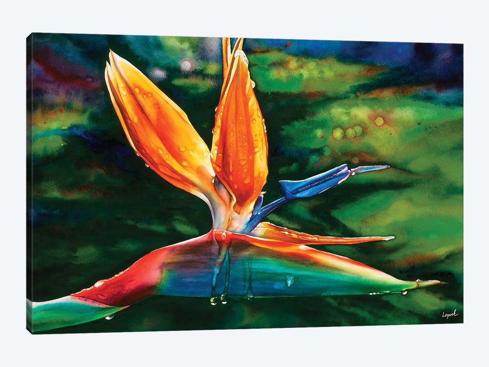 Morning Maui by Lisa Lopuck 1-piece Canvas Art Print