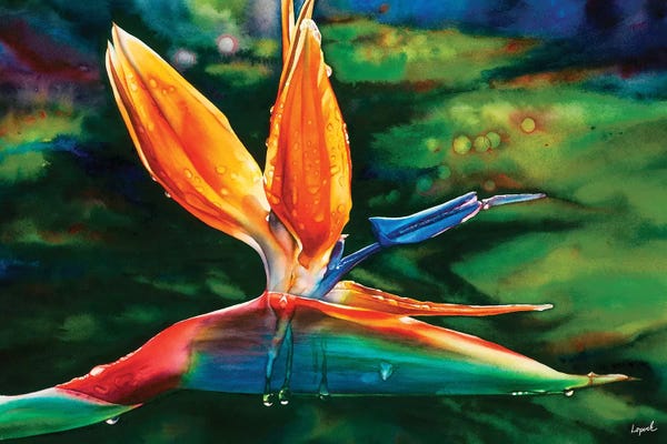 Hawaii: Morning Maui by Lisa Lopuck