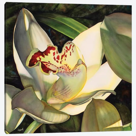Pale Orchid I Canvas Print #LLP34} by Lisa Lopuck Canvas Art