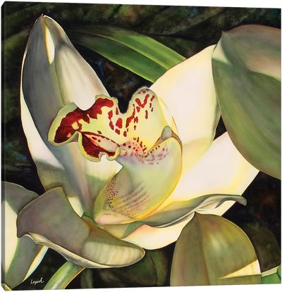 Pale Orchid I Canvas Art Print - Orchid Art