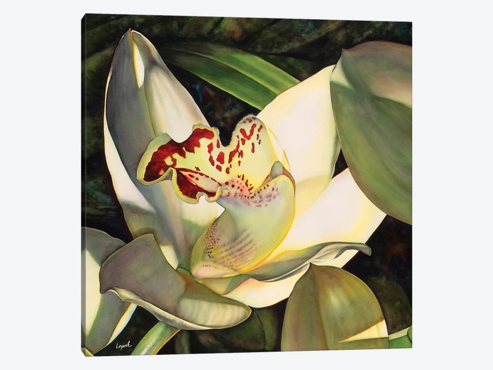 Pale Orchid I by Lisa Lopuck 1-piece Canvas Art Print