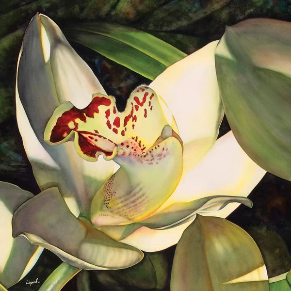 Orchids: Pale Orchid I by Lisa Lopuck