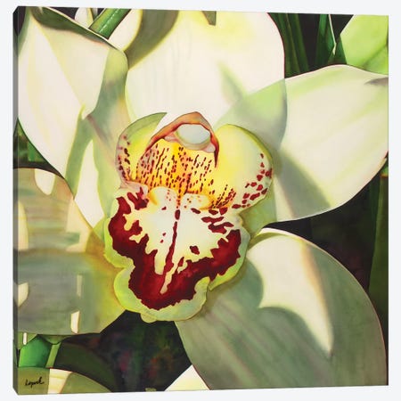 Pale Orchid II Canvas Print #LLP35} by Lisa Lopuck Canvas Wall Art