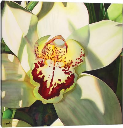 Pale Orchid II Canvas Art Print - Lisa Lopuck