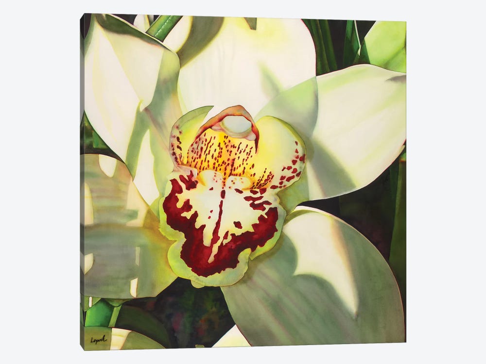 Pale Orchid II by Lisa Lopuck 1-piece Canvas Wall Art