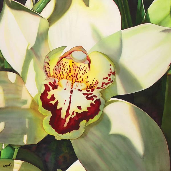 Orchids: Pale Orchid II by Lisa Lopuck