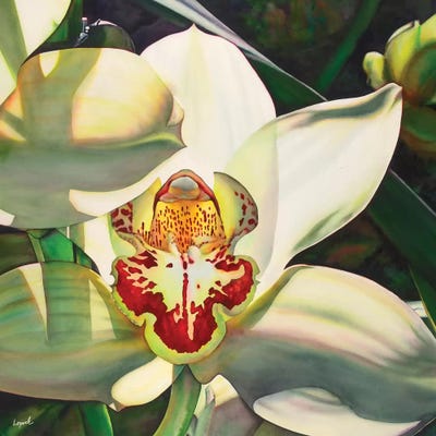 Pale Orchid III by Lisa Lopuck metal wall art