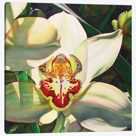 Pale Orchid III Canvas Print #LLP36} by Lisa Lopuck Canvas Wall Art