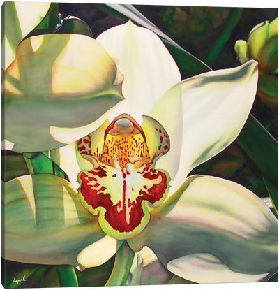 Pale Orchid III Canvas Art Print - Lisa Lopuck
