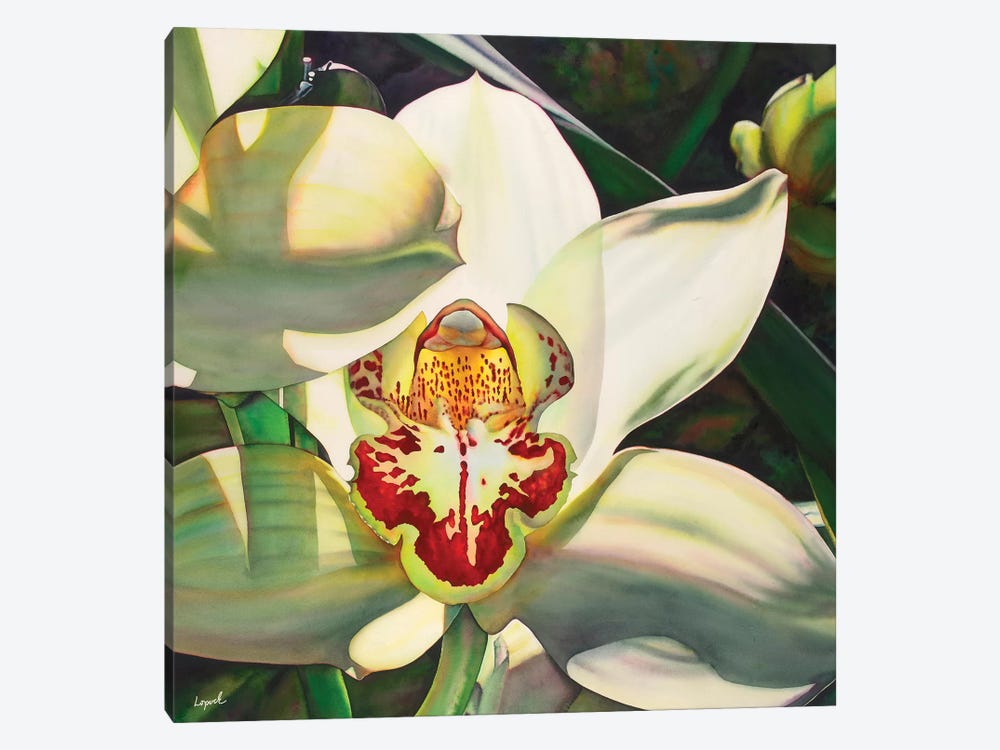 Pale Orchid III by Lisa Lopuck 1-piece Canvas Print