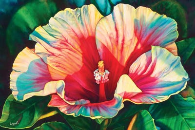 Black Pearl by Lisa Lopuck canvas print