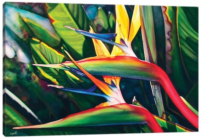 View Hanalei Canvas Art Print - Bird of Paradise Art