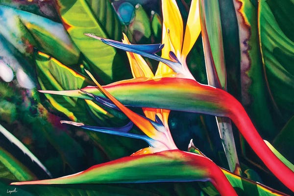 Birds Of Paradise: View Hanalei by Lisa Lopuck