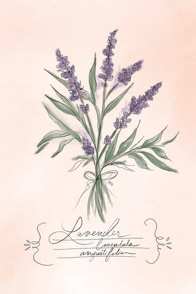 Lavender by Lily & Val framed wall art
