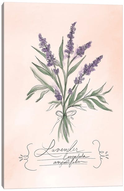 Lavender Canvas Art Print - Lily & Val