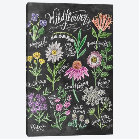 Wildflowers Canvas Print #LLV218} by Lily & Val Canvas Print