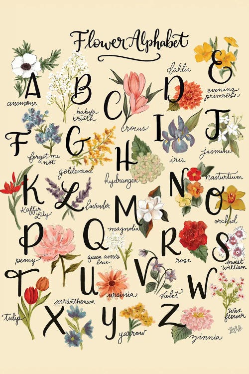 Flower Alphabet by Lily & Val wall art