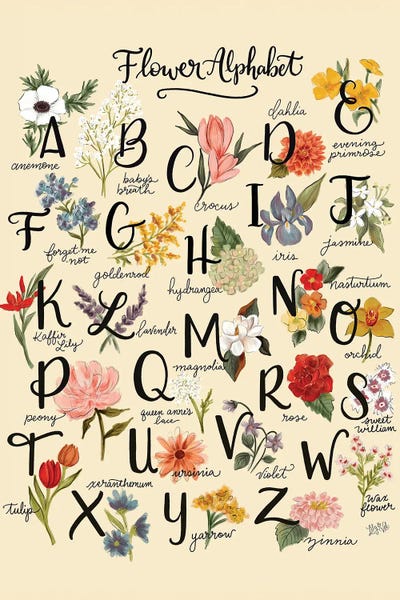 Botanical Illustrations: Flower Alphabet by Lily & Val