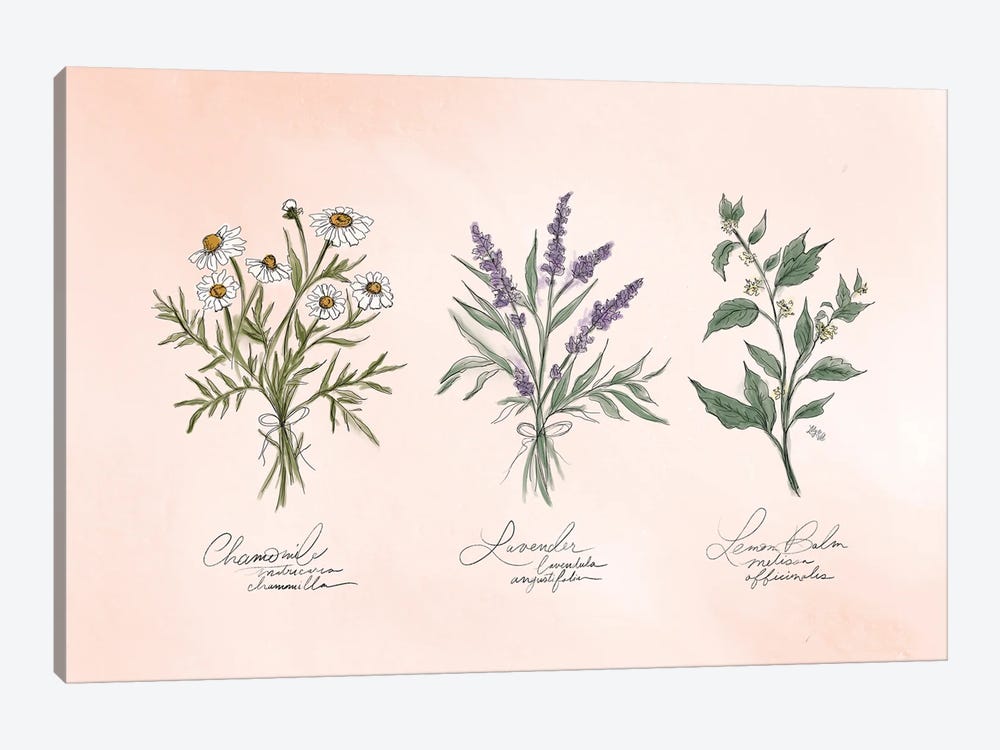 Calming Herbs by Lily & Val 1-piece Canvas Wall Art