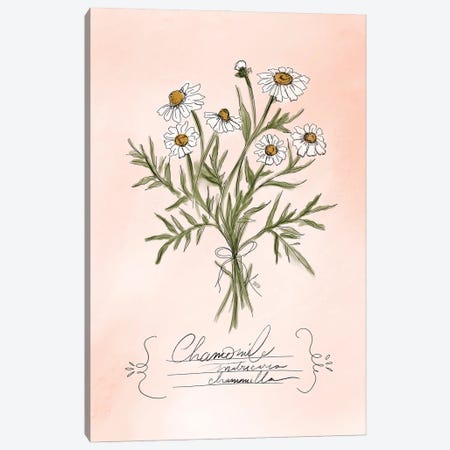 Chamomile Canvas Print #LLV40} by Lily & Val Canvas Artwork
