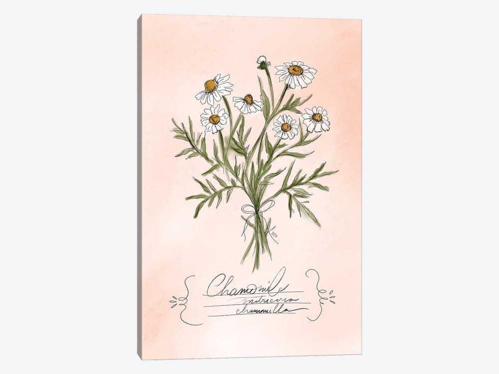 Chamomile by Lily & Val 1-piece Canvas Wall Art