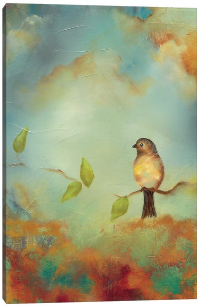 Bird Peace Canvas Art Print - Lisa Lamoreaux