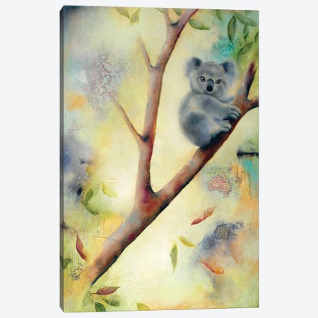 Frankie Koala Canvas Print #LLX13} by Lisa Lamoreaux Canvas Art Print
