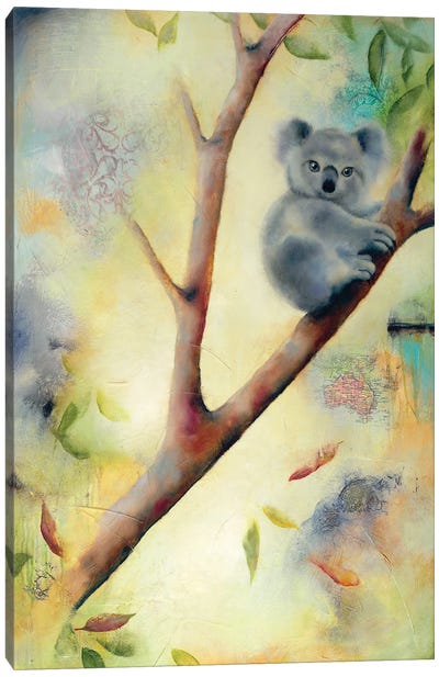 Frankie Koala Canvas Art Print - Lisa Lamoreaux