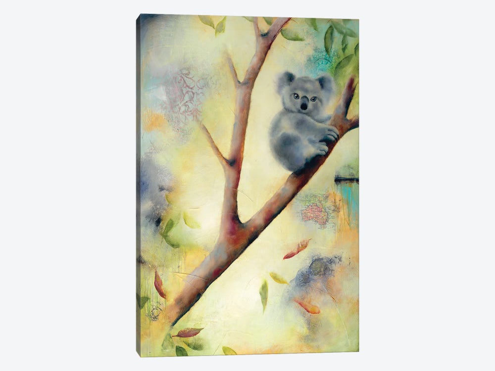 Frankie Koala by Lisa Lamoreaux 1-piece Canvas Print