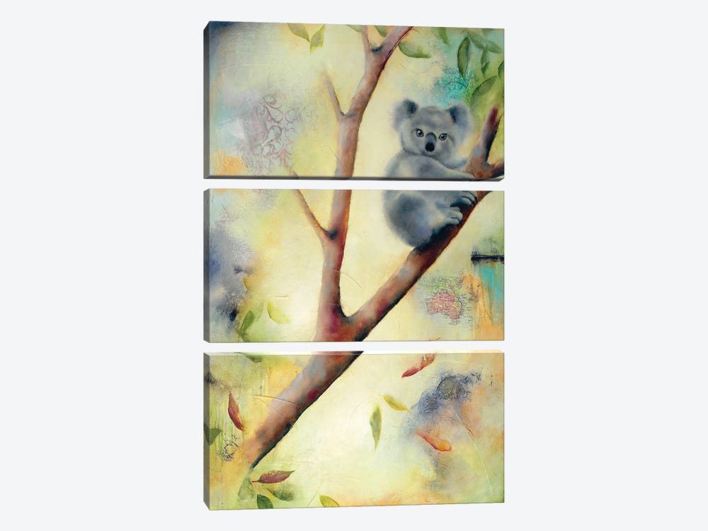 Frankie Koala by Lisa Lamoreaux 3-piece Art Print