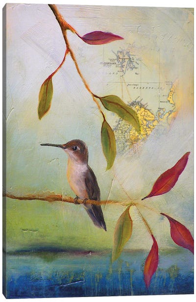 Hummingbird Home Canvas Art Print - World Map Art