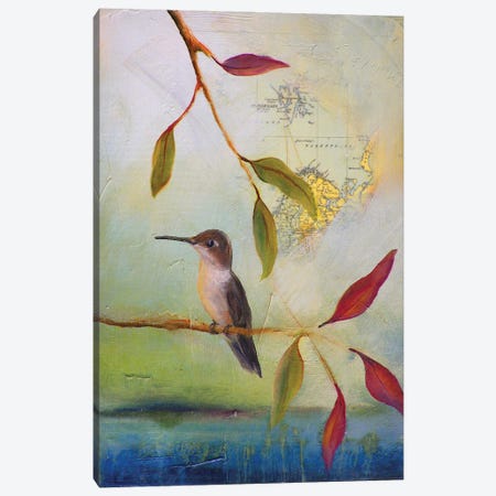 Hummingbird Home Canvas Print #LLX14} by Lisa Lamoreaux Canvas Wall Art