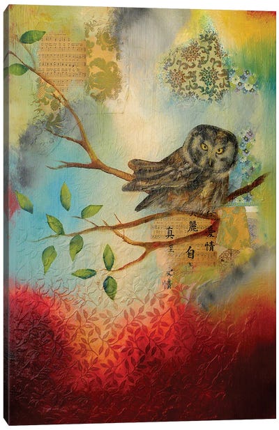 Owl Home Canvas Art Print - Lisa Lamoreaux