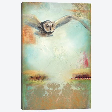 Owl Flight I Canvas Print #LLX21} by Lisa Lamoreaux Canvas Art