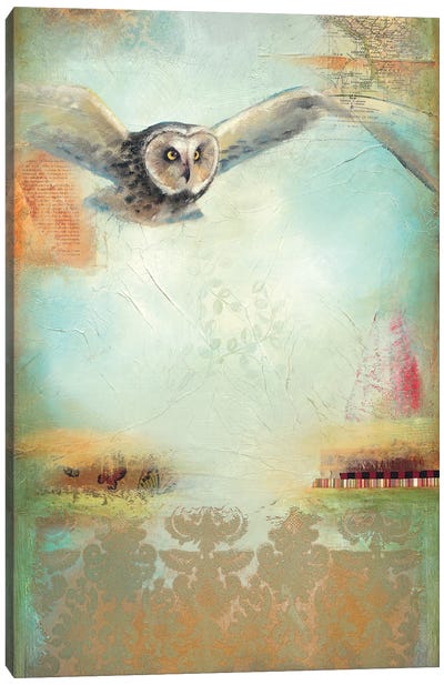 Owl Flight I Canvas Art Print - Lisa Lamoreaux
