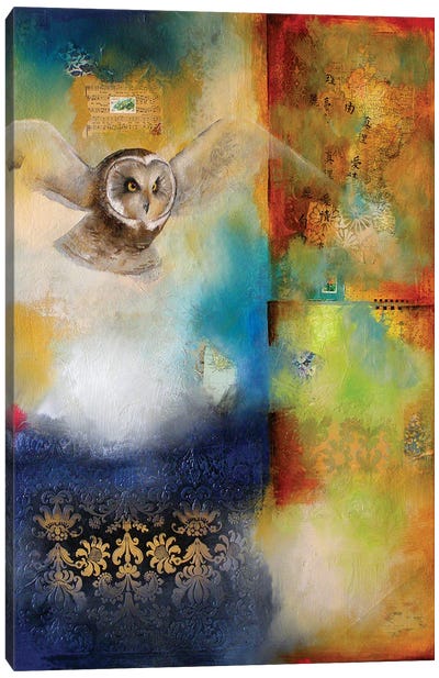 Owl Flight II Canvas Art Print - Lisa Lamoreaux