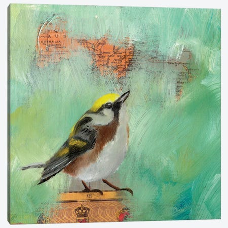 Finch Home I Canvas Print #LLX9} by Lisa Lamoreaux Canvas Artwork